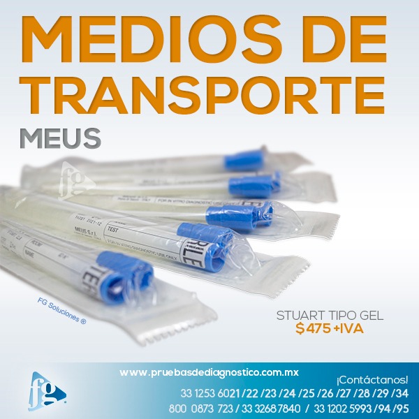 Medios de trasporte MEUS