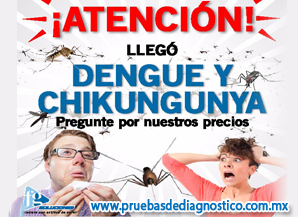 DENGUE Y CHINKUNGUNYA